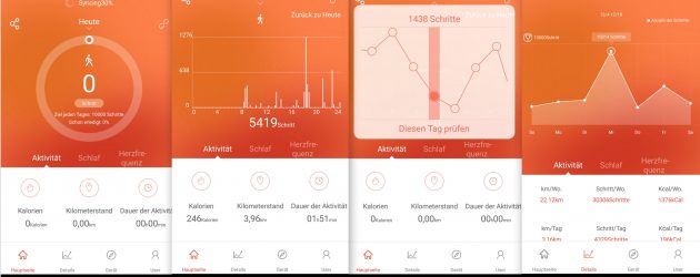 App Schritte Strecke Auswertung NewGen FBT55 HR SmartBand