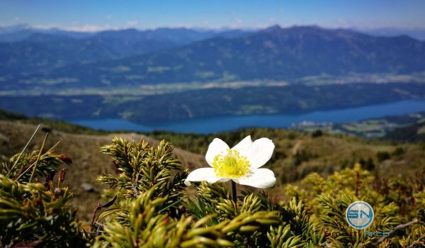 Blick zum Millstättersee - Huawei P10plus